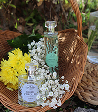 Collection parfumerie d'ambiance